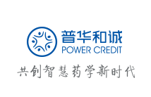 北京普华和诚科技有限公司