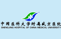 中国医科大学盛京医院（三甲）